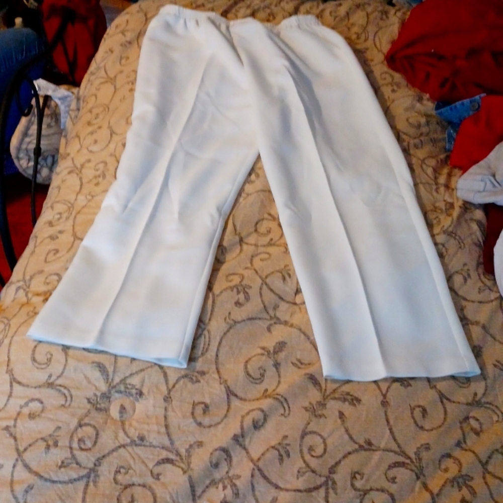 Dress Pants